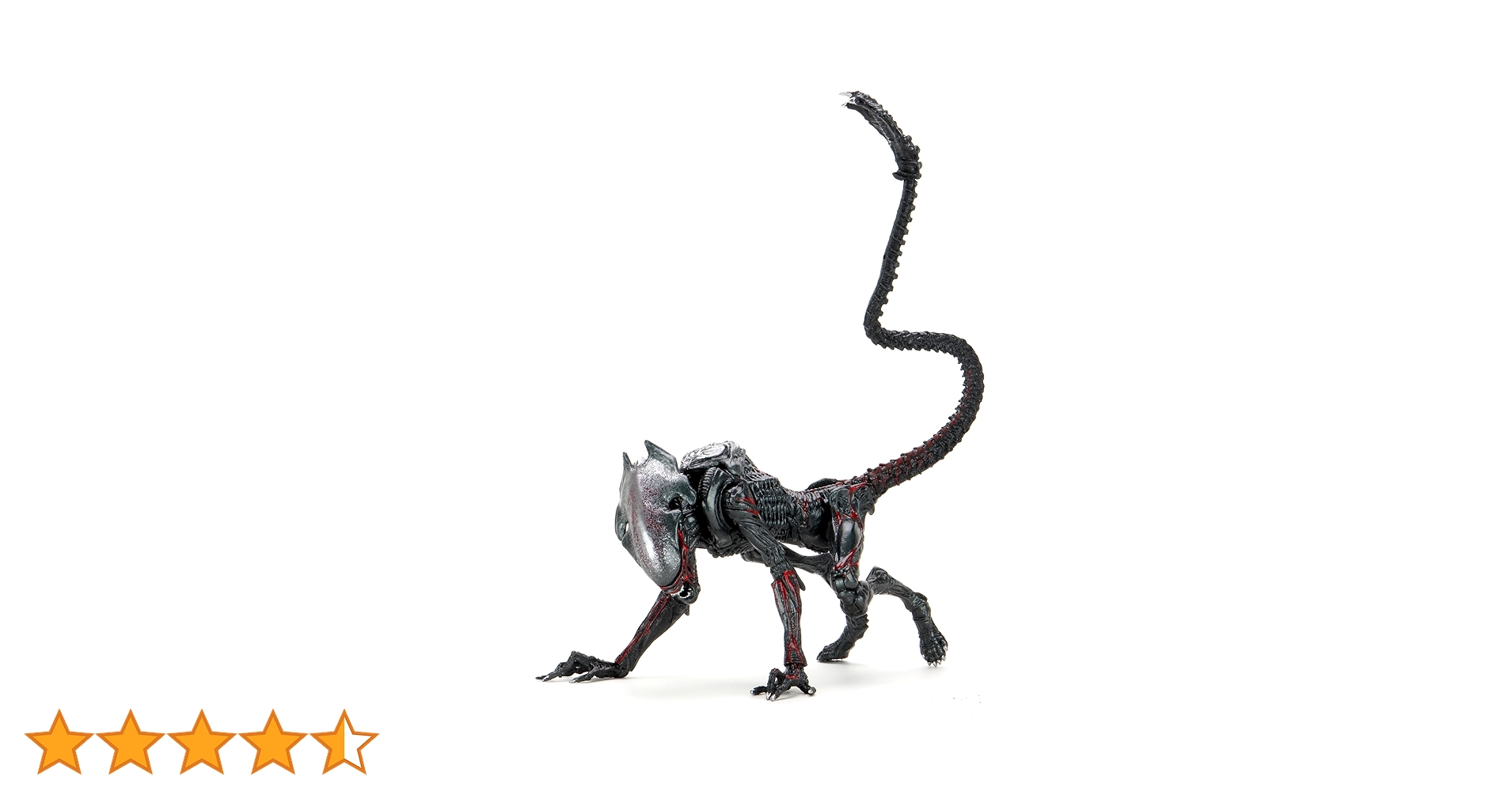 71S4kZB89ZL.jpg_BO30,255,255, 71S4kZB89ZL.jpg_BO30,255,255,